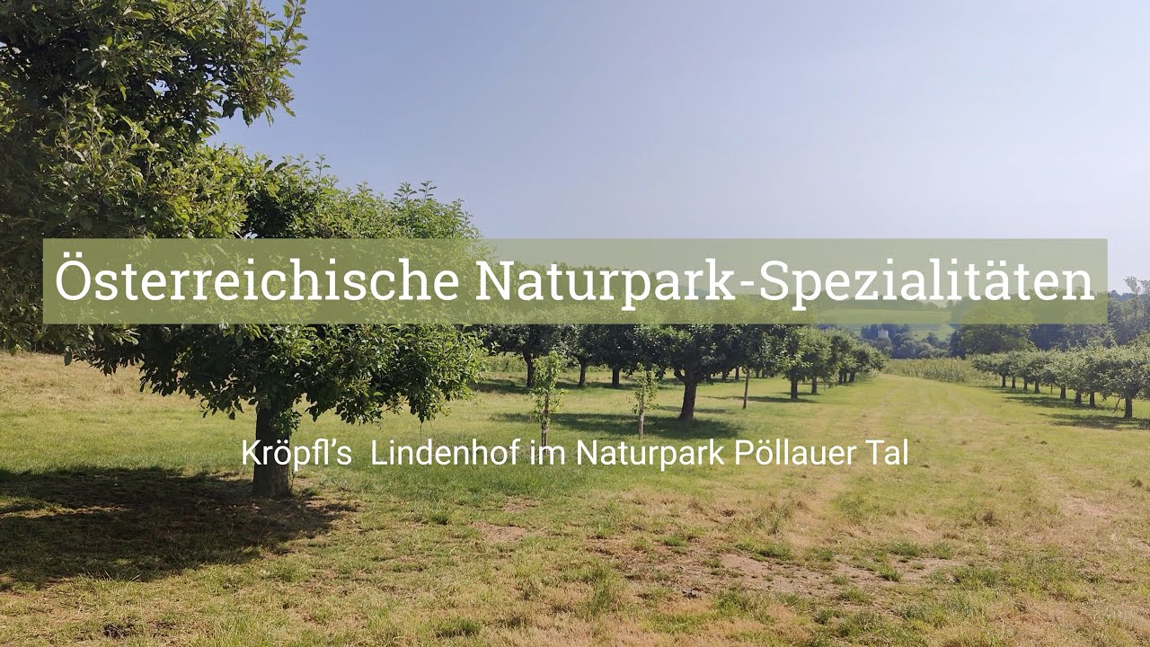 Betrieb des Monats: Kröpfl’s Lindenhof (Naturpark Pöllauer Tal)