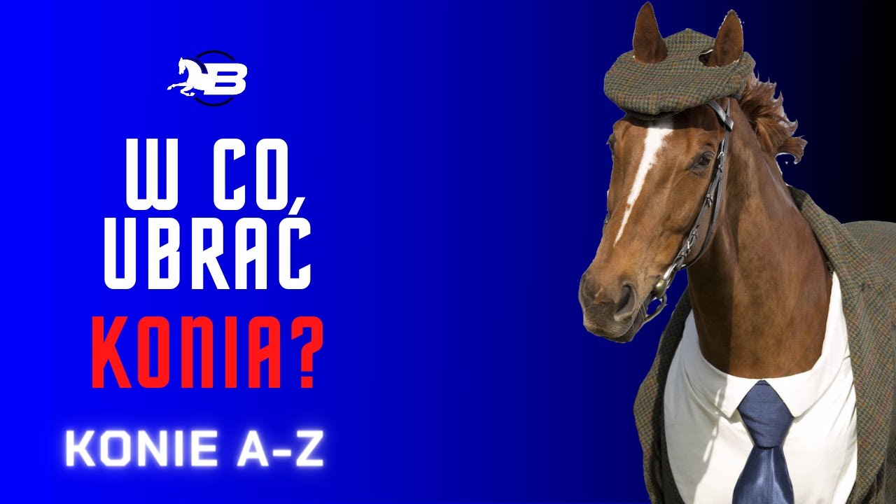 NIEZBĘDNY sprzęt dla KONIA | Konie A-Z | W co TRZEBA ubrać konia?