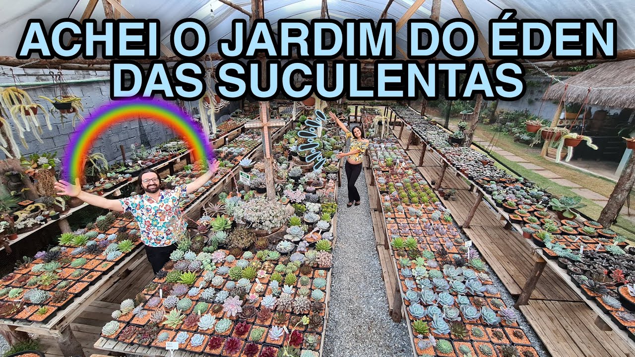 ENCONTRAMOS um JARDIM de SUCULENTAS RARAS no MEIO da CIDADE