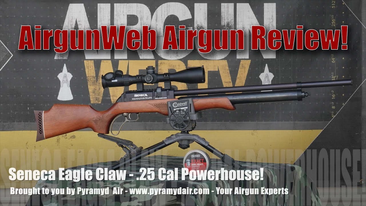 Seneca Eagle Claw .25 - This gun has it all, power, accuracy, shootability.. did I mention POWER!!