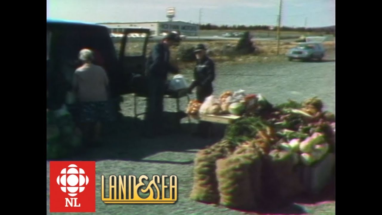 Land & Sea: The Sparkes farming family