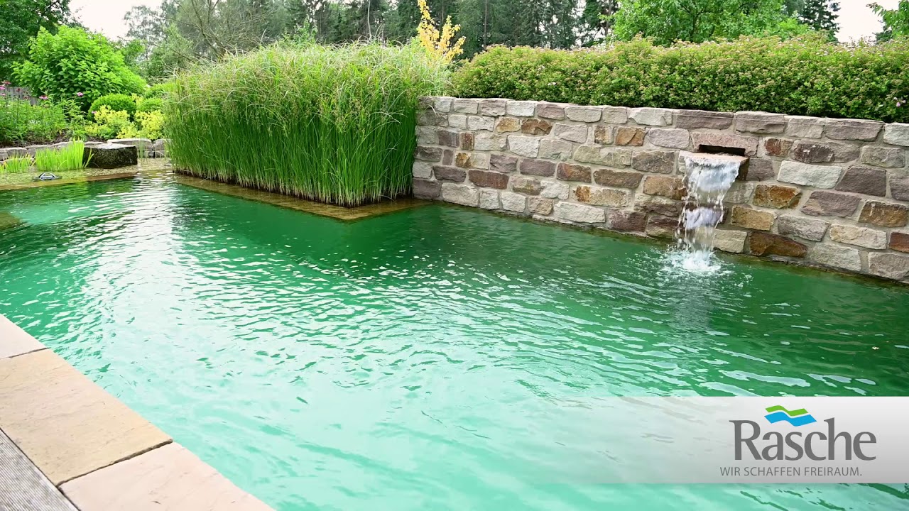 Bio-Schwimmteich