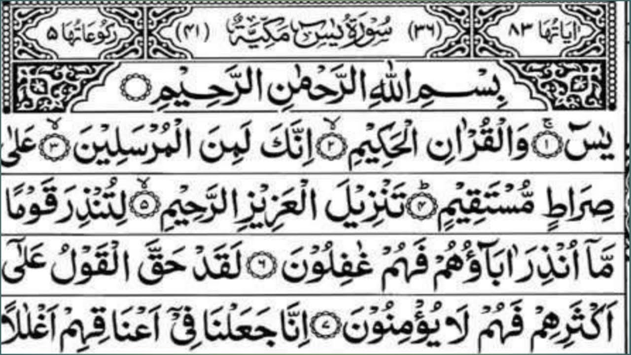 Surah Yasin | quran tilawalt | Ep294 | Surah Rahman Surah Baqarah Full HD Complete Daily Quran Tila