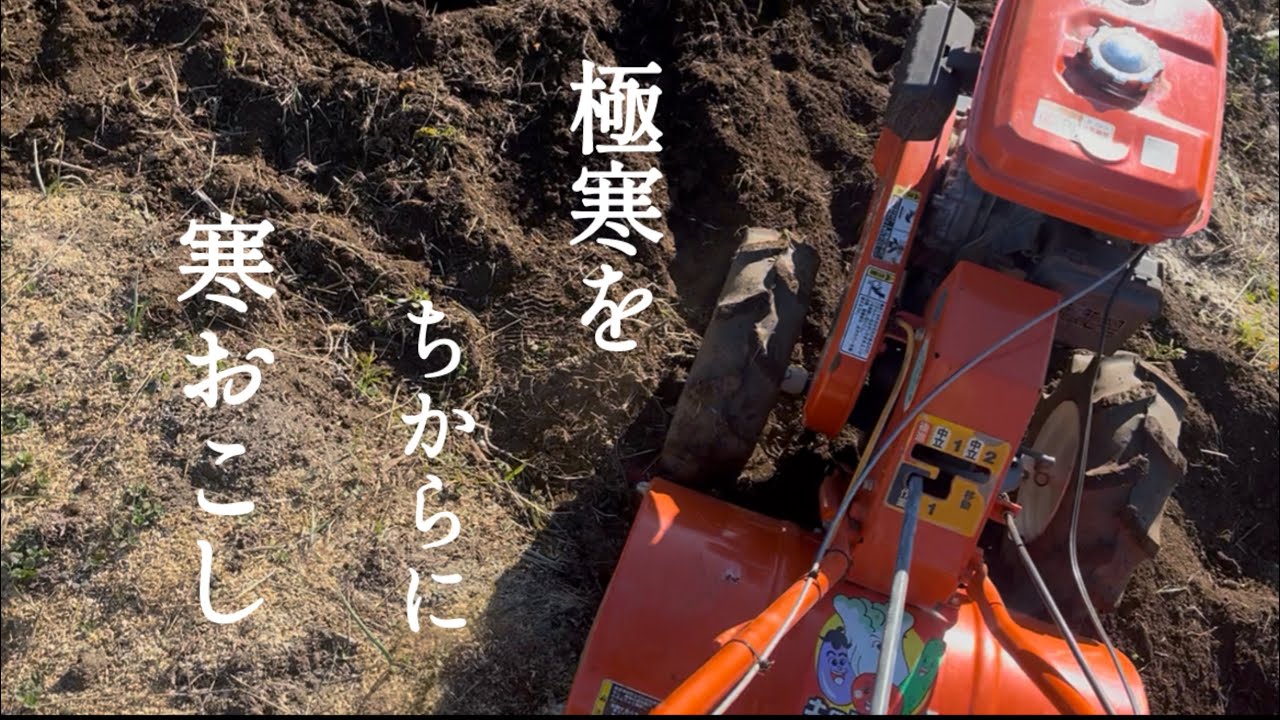 ♯11 これをやるだけで春の収穫量が変わる！冬の土作り