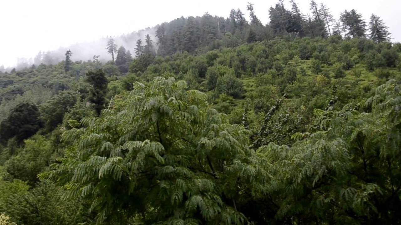 Best Shots Ever- Most Beautiful Places - Himachal-Kullu Valley-Shimla Manali from Mumbai