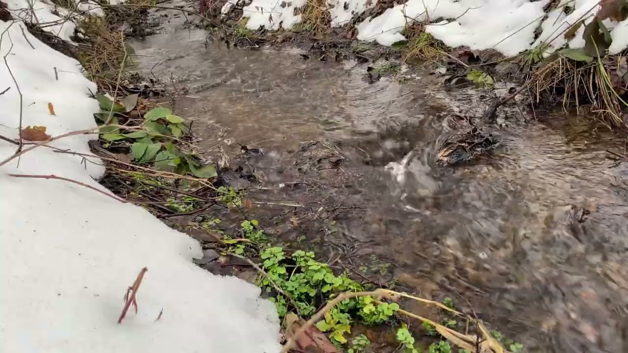 Melting Snow Stream in the Mountains | Calm Water & Bird Sounds (20 MIN)