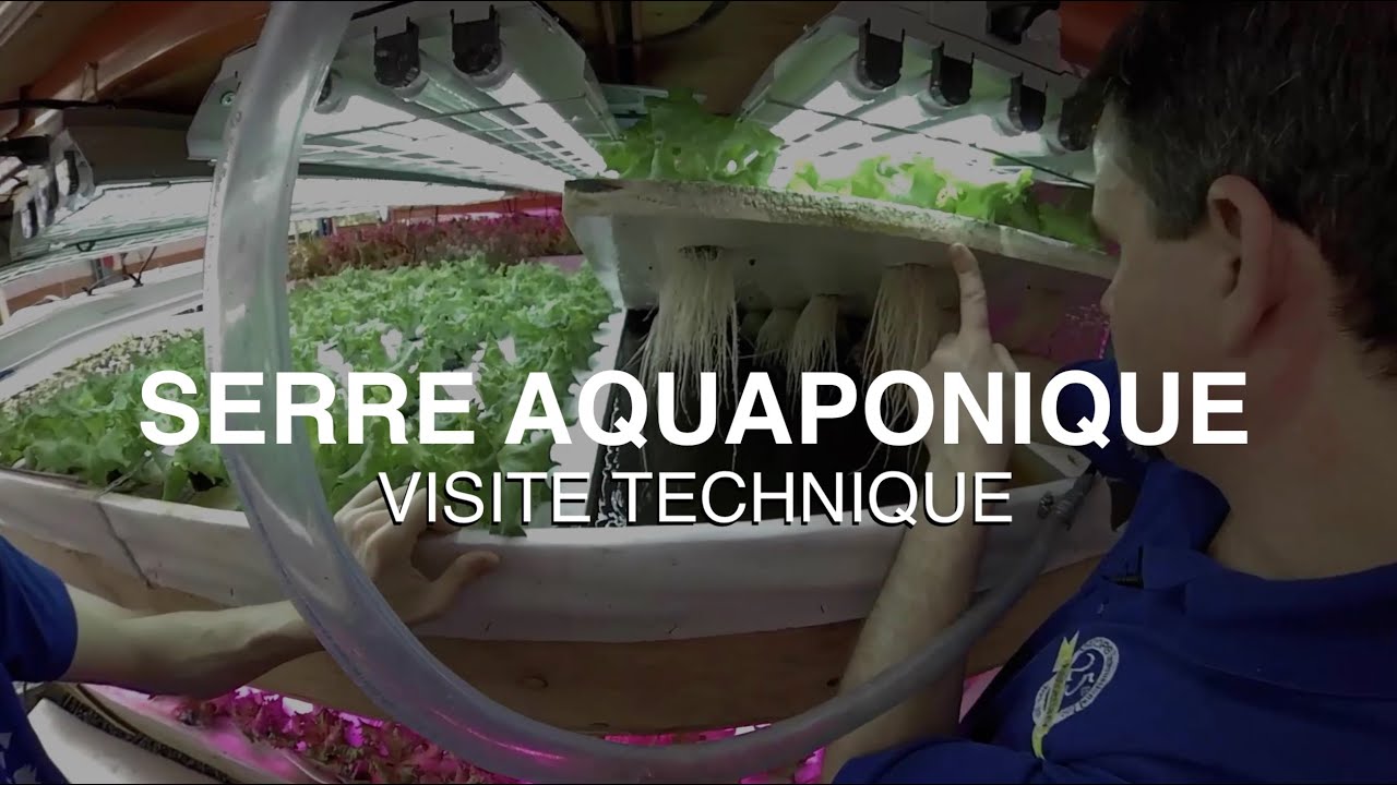 Serre solaire passive aquaponique [VISITE TECHNIQUE] — 2/2
