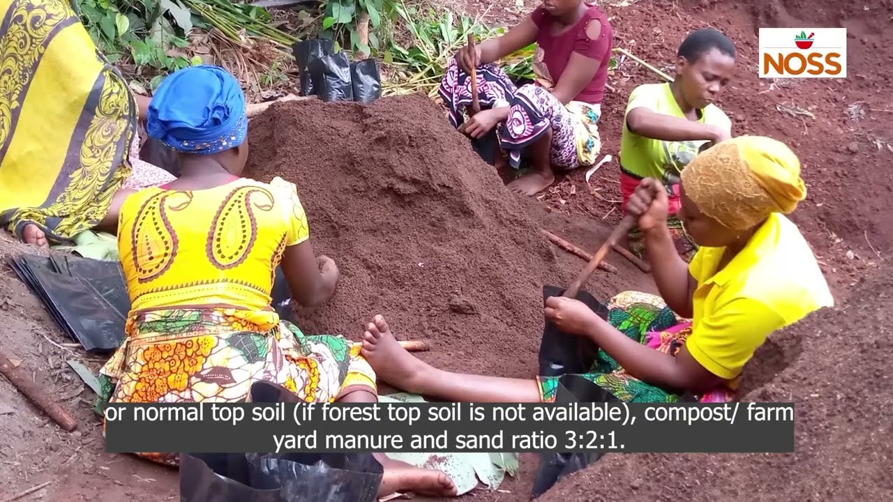 New Origin Sustainable Spices (NOSS): Pre harvest Guide for Cardamom, Cinnamon and Clove