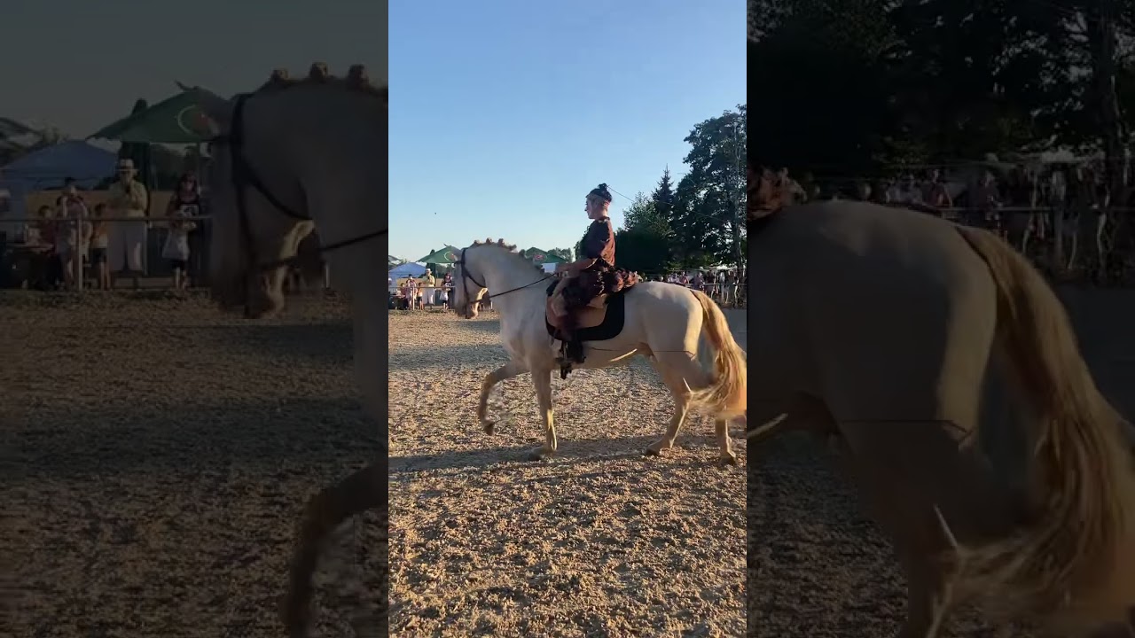 Das goldene Pferd an F&auml;den
