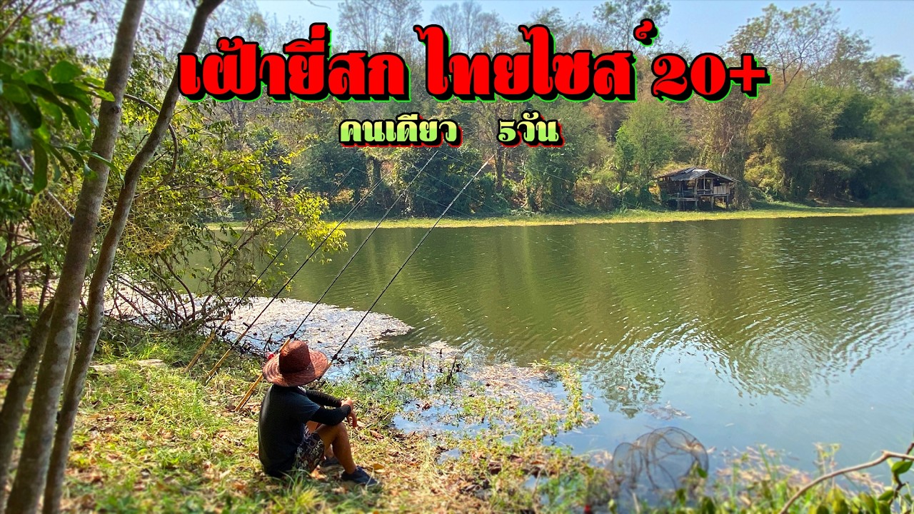 เฝ้ายี่สกไทยในตำนาน คนเดียว 5วัน ที่นี่มีสัตว์ใหญ่ไซส์20กิโล