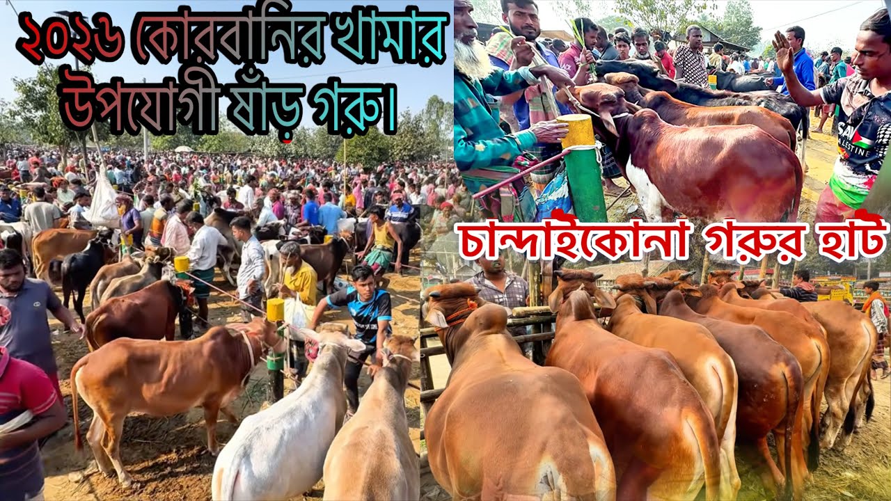 ১৪/০২/২৬