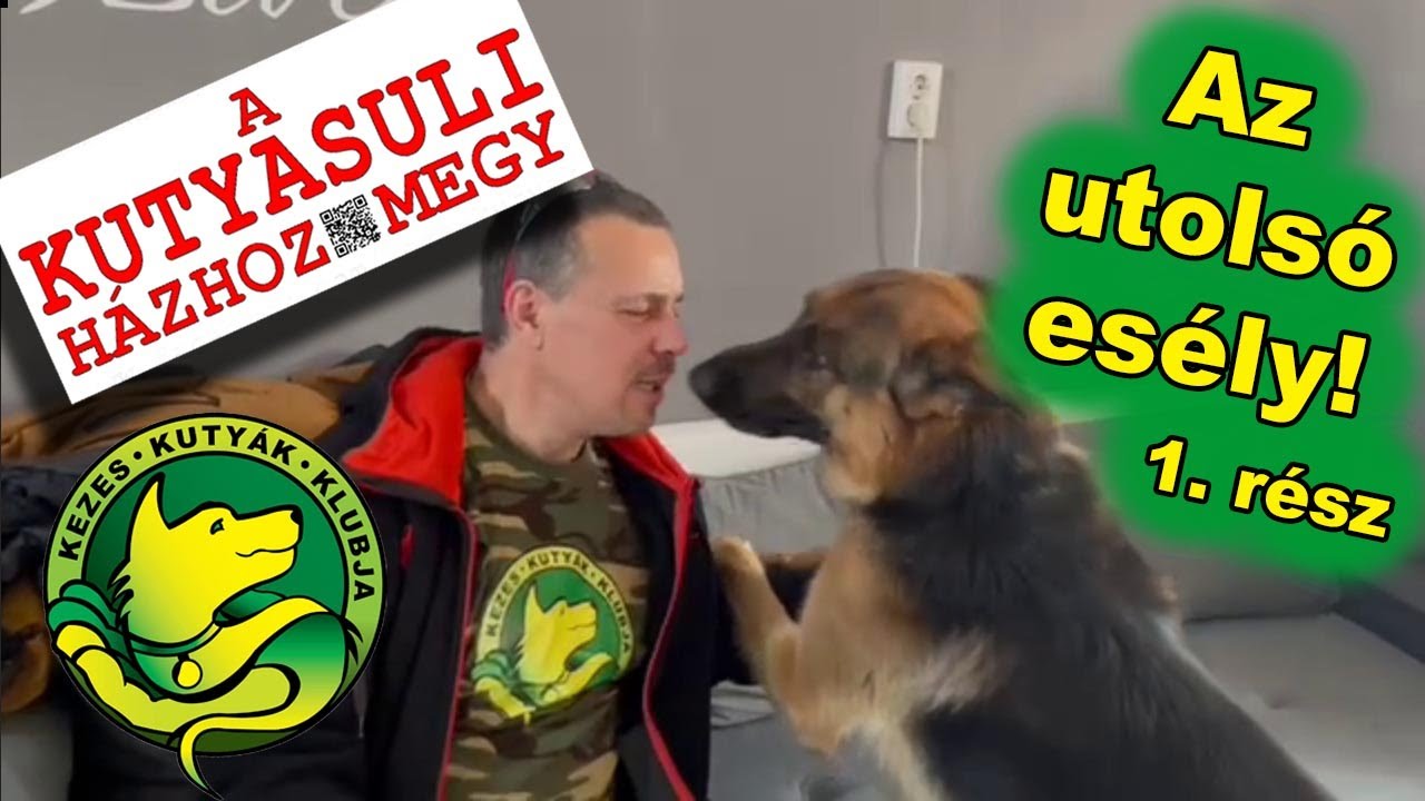 Az utolsó esély! 1.rész