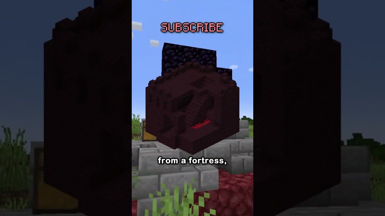 Minecraft, But Damage Switches My Version...