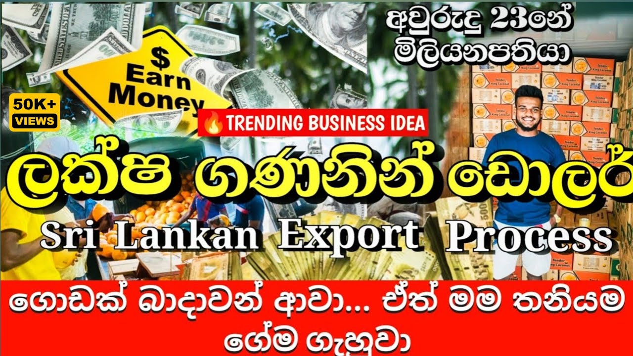 කෝටි ප්‍රකෝටිපතියන් බිහිකරන අපනයන කරන්න හොදම කාලය උදා වුනා|How to process the export?💰💲|2024|Rvsanka