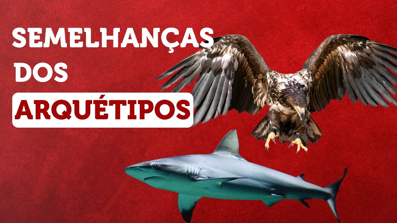 PODEROSOS ARQUÉTIPOS DO TUBARÃO E FALCÃO