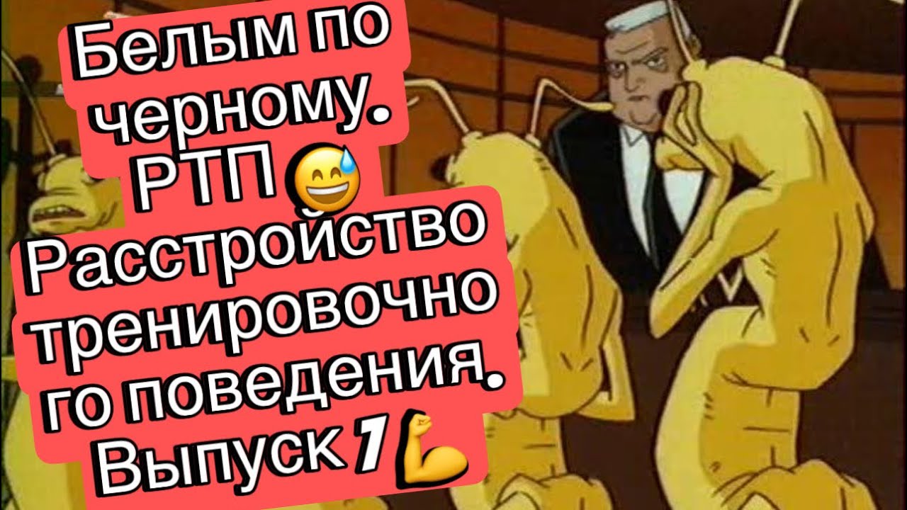 Выпуск 7.  Или как не стать жертвой очередных методик. О чем стоит подумать в начале тренировок?