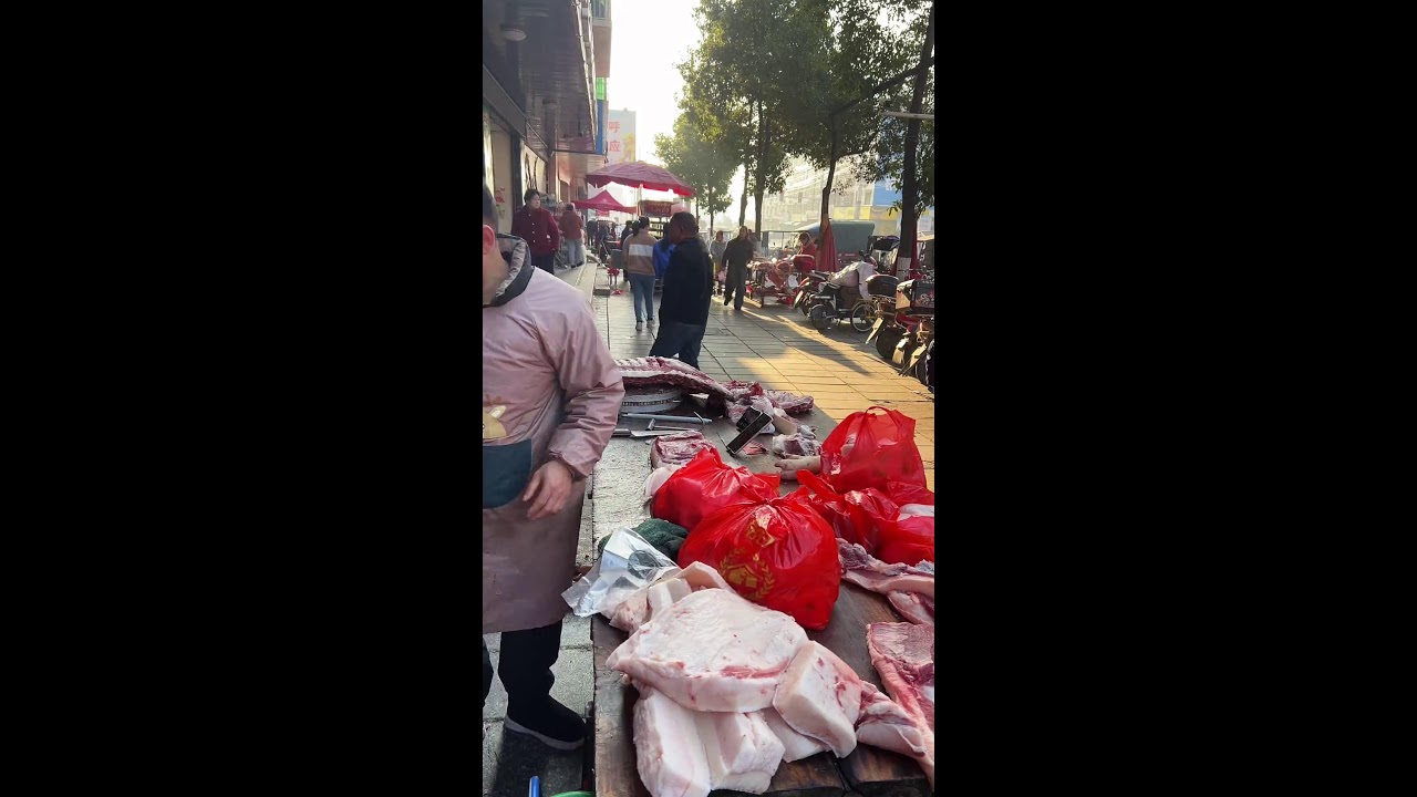 ❇️ Chinese Morning Market # Encyclopedia of Life