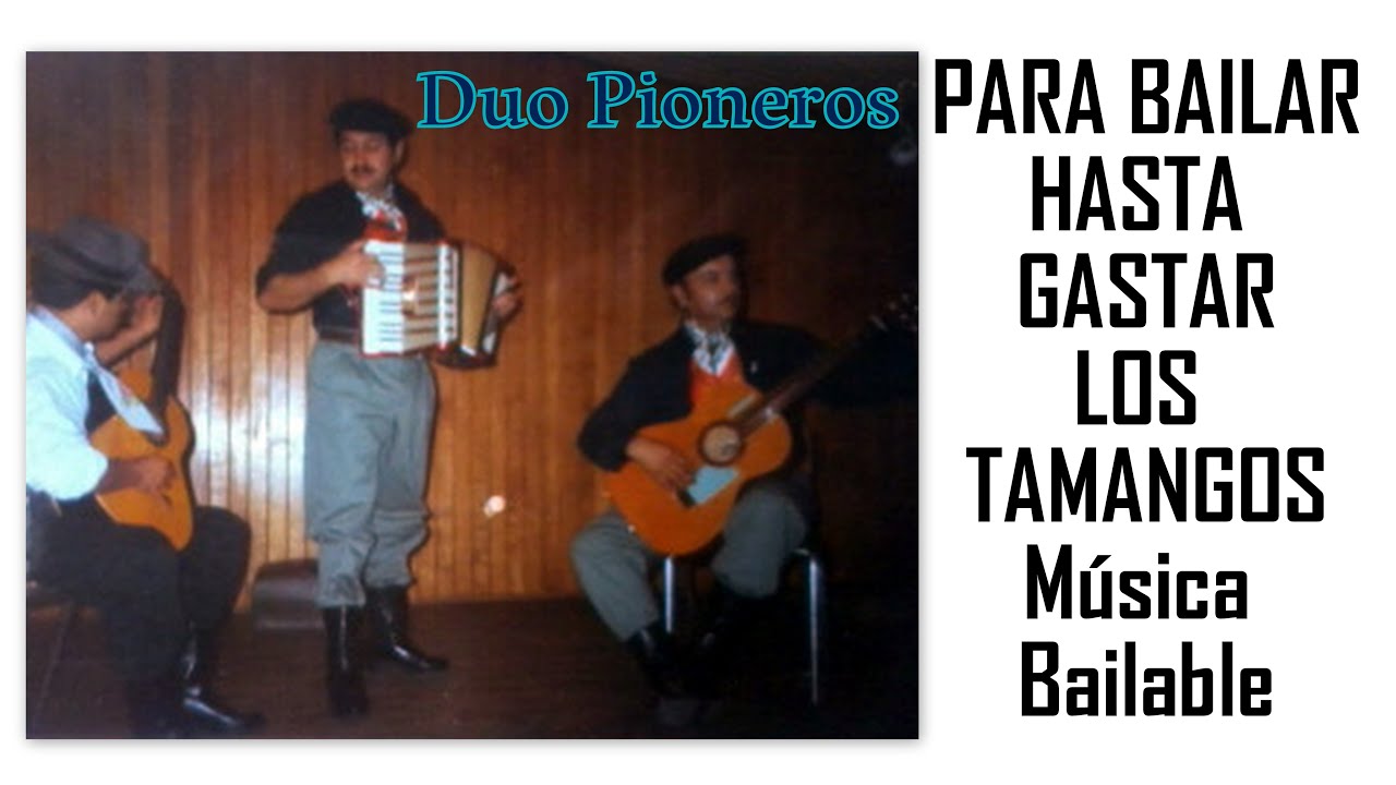 PARA BAILAR HASTA GASTAR LOS TAMANGOS Bailables del Recuerdo Patagonia Chilena Música