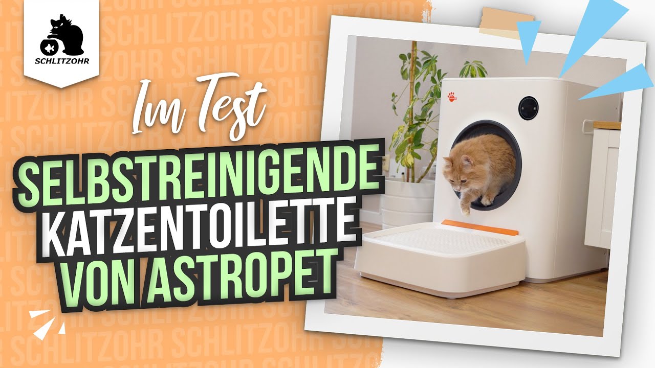 Nie wieder Katzenklo reinigen!? Selbstreinigendes Katzenklo Mercury von Astropet im Test