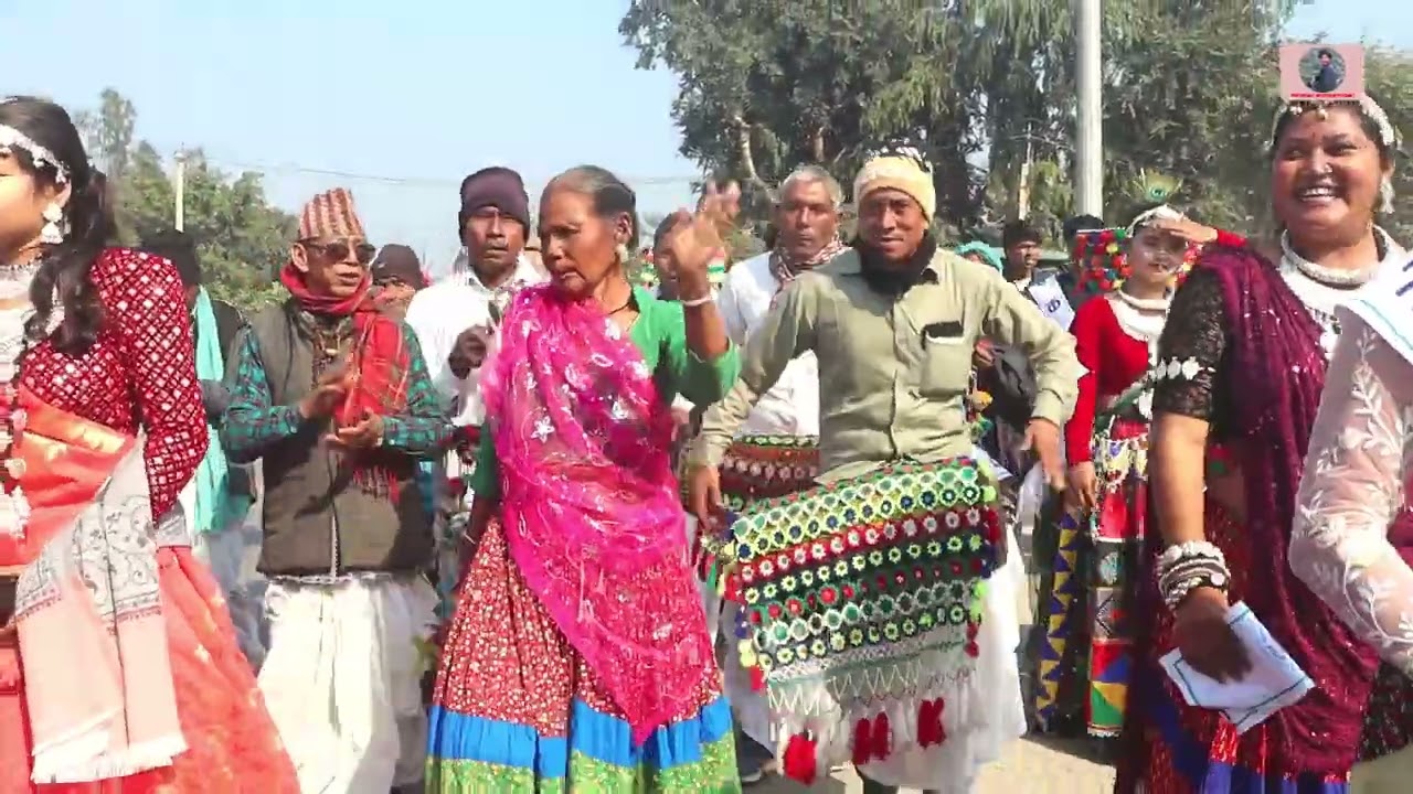 थारु समुदाय नयाँ बर्षको स्वागतको तयारिमा ! कोहलपुरमा माघ मिलनमा भब्य उपस्थिति ! #tharucommunity 