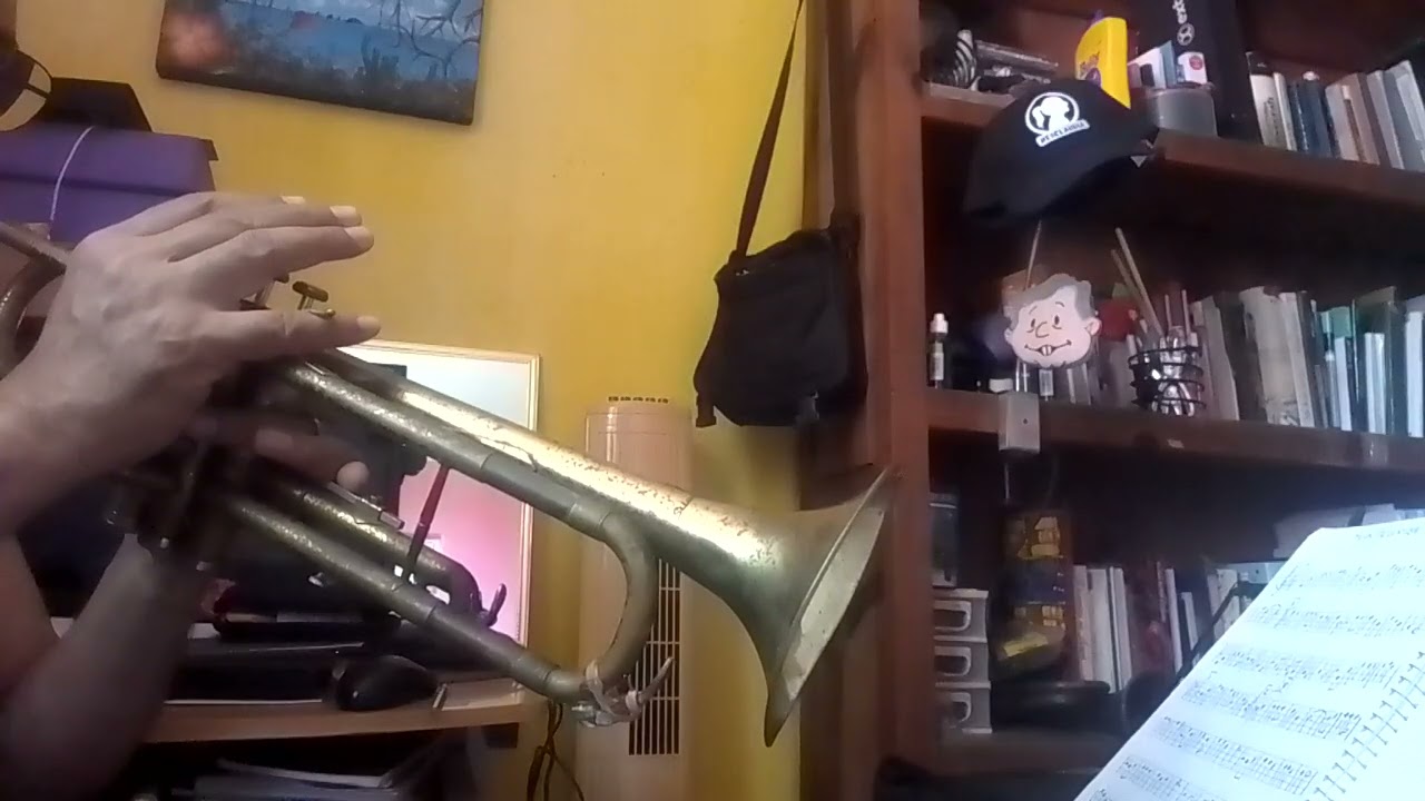 28 de febrero de 2026