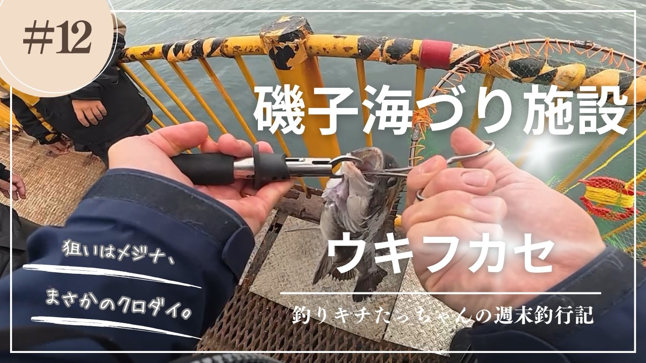 【磯子海釣り施設】メジナ狙いのフカセ釣りでまさかのクロダイ(2025年12月中旬)
