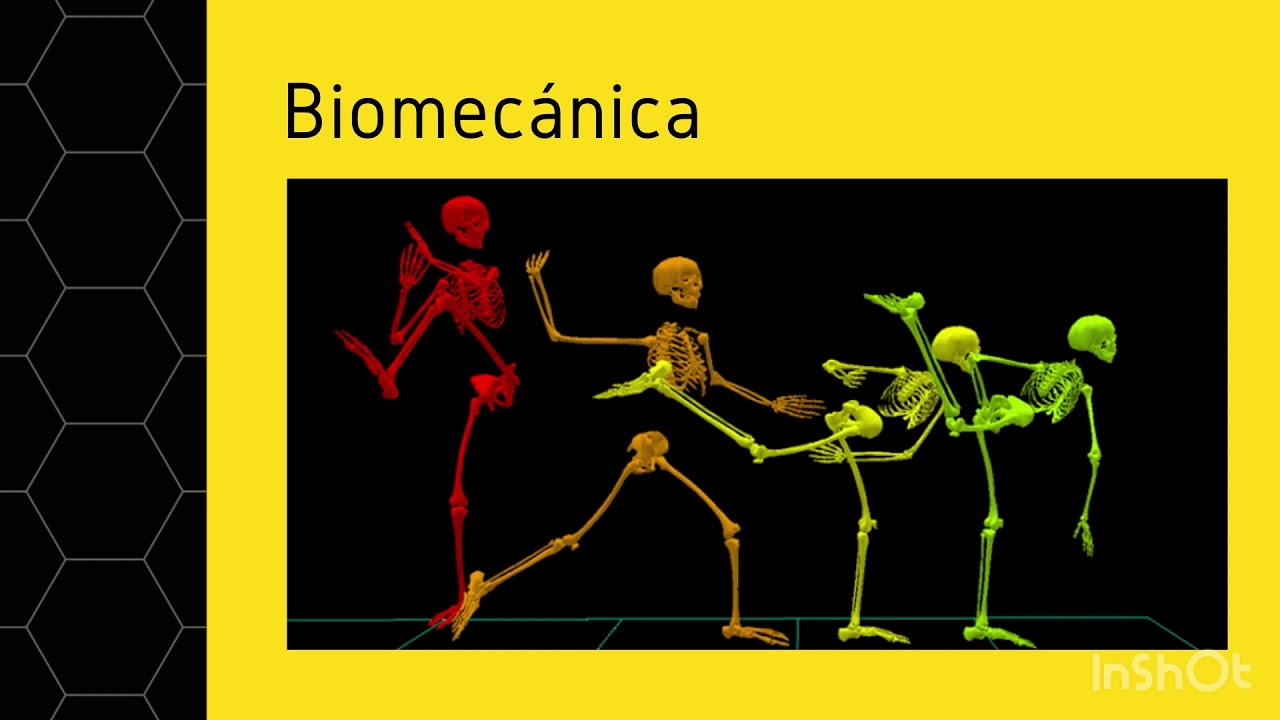 Relación que existe entre ergonomía, antropometría y biomecánica