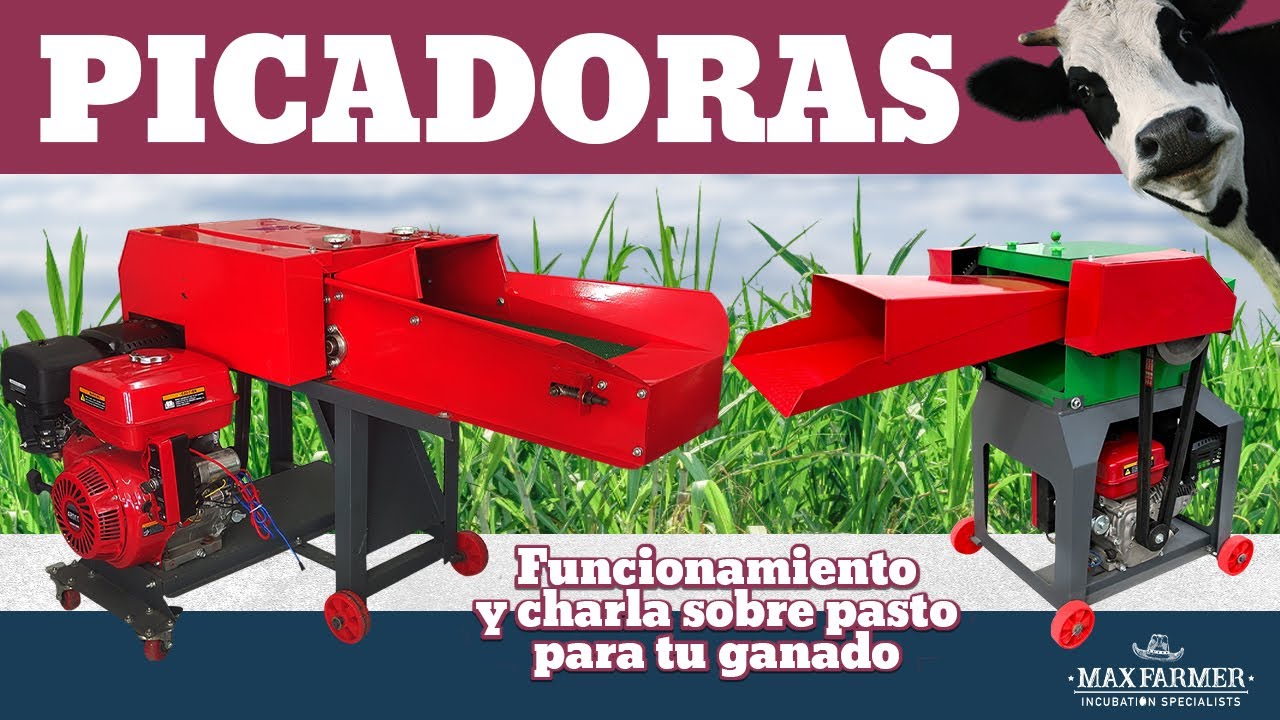 PICADORA DE PASTO AUTOMÁTICA - ¡APRENDE CÓMO AUMENTAR LA PRODUCCIÓN DE ALIMENTOS PARA TU GANADO!