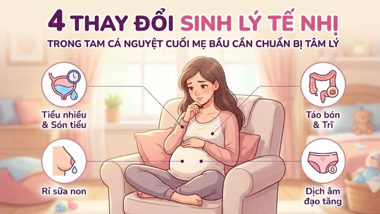 4 THAY ĐỔI SINH LÝ TẾ NHỊ TRONG TAM CÁ NGUYỆT CUỐI MẸ BẦU CẦN CHUẨN BỊ TÂM LÝ