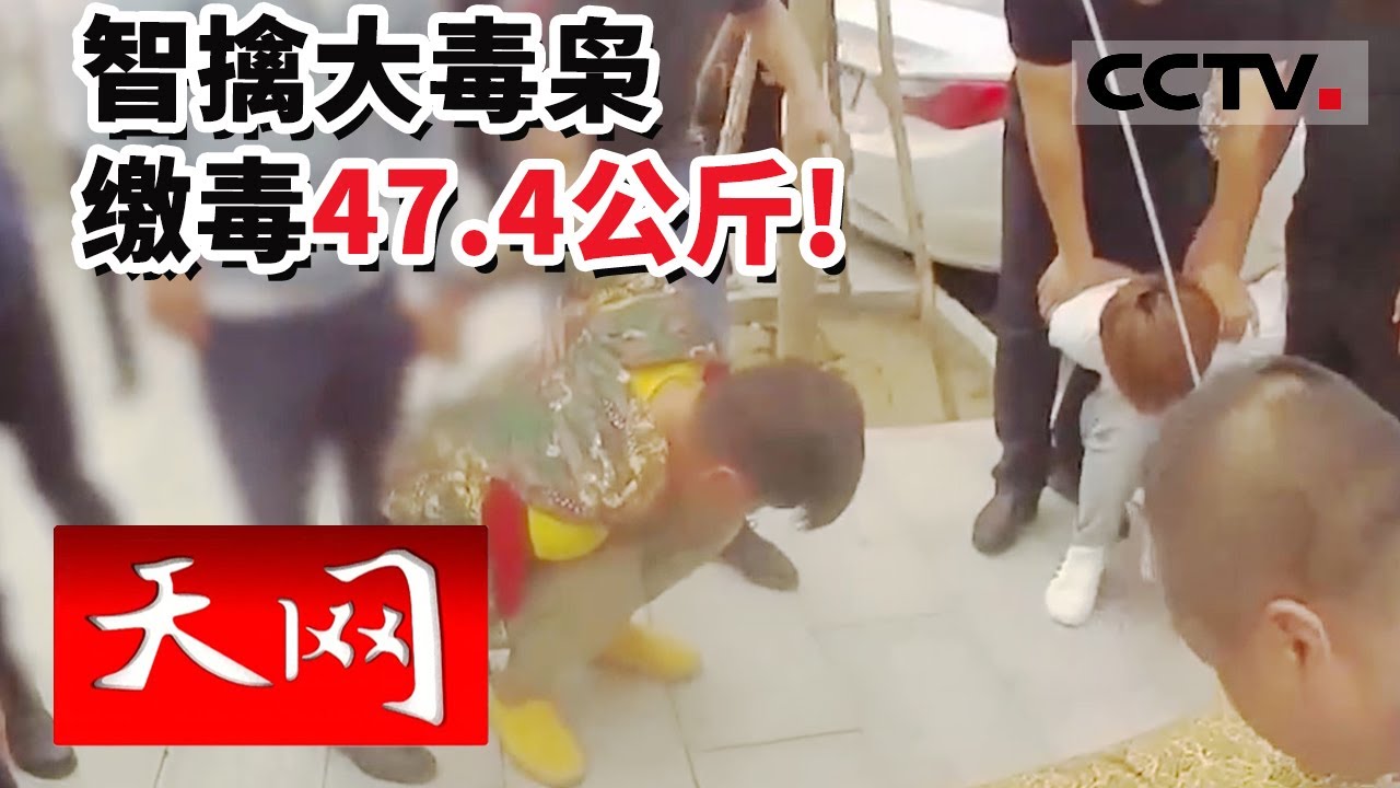 《天网》缴毒47.4公斤！宁鄂冀滇四省区警方联手破部督大案 20221216 | CCTV社会与法