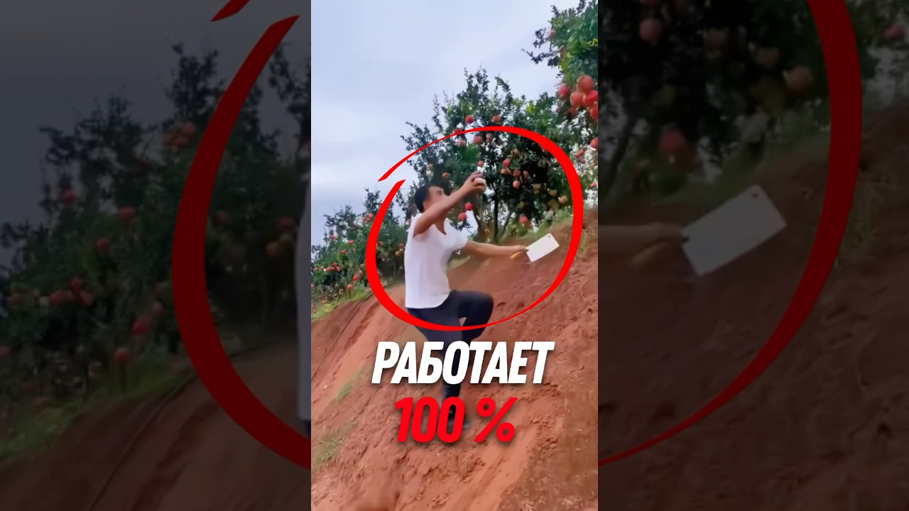 😲 Самый ЛЁГКИЙ способ есть гранат!