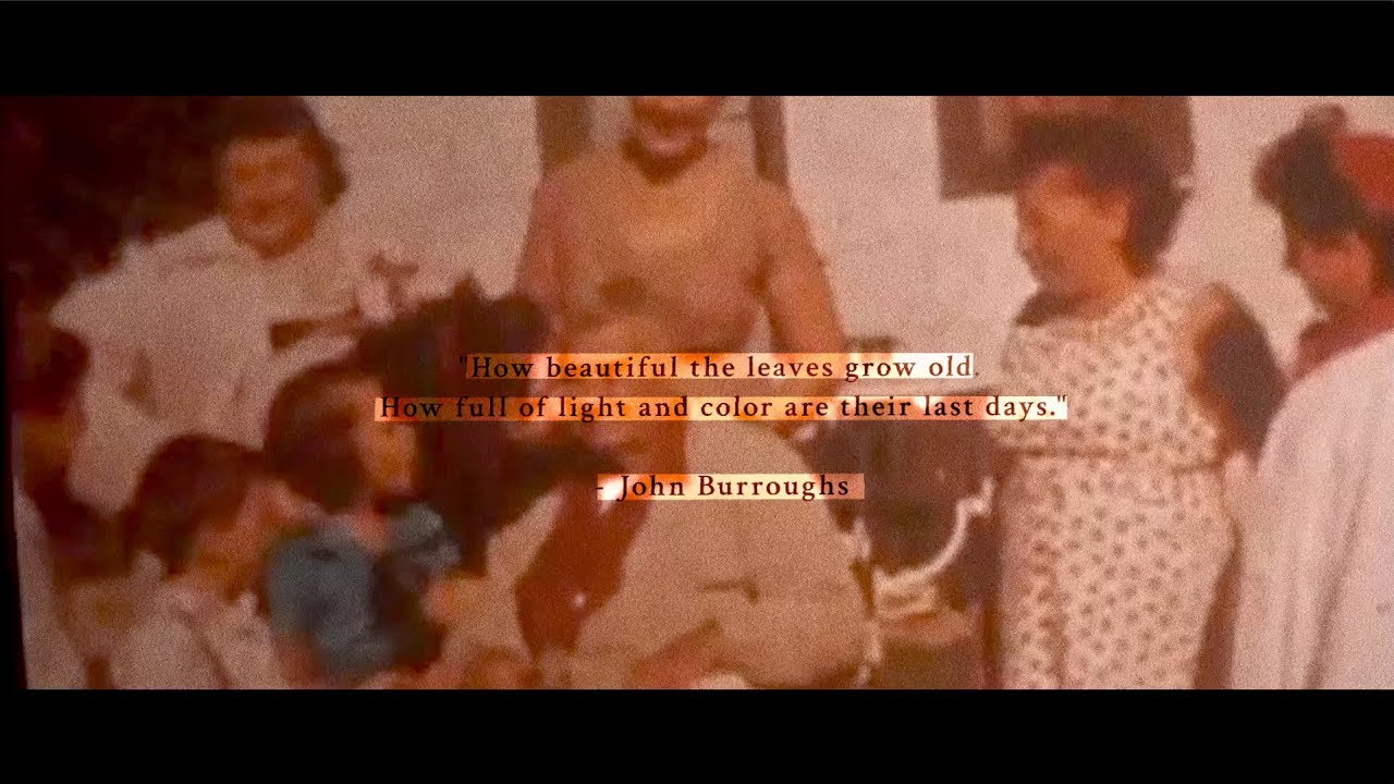 We Lost The Sea - A Beautiful Collapse (Official Video)