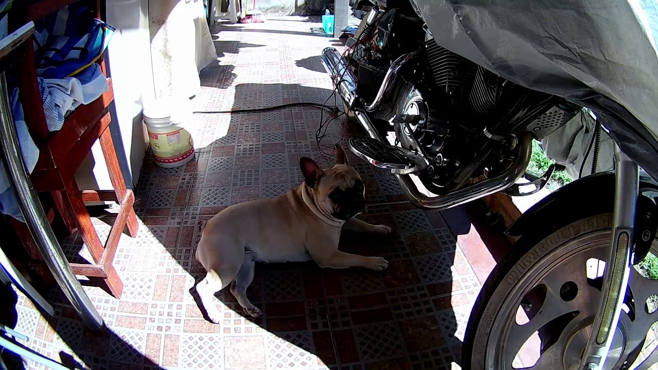 Como restaurar sua VBlade 250cc Custom - Introdução