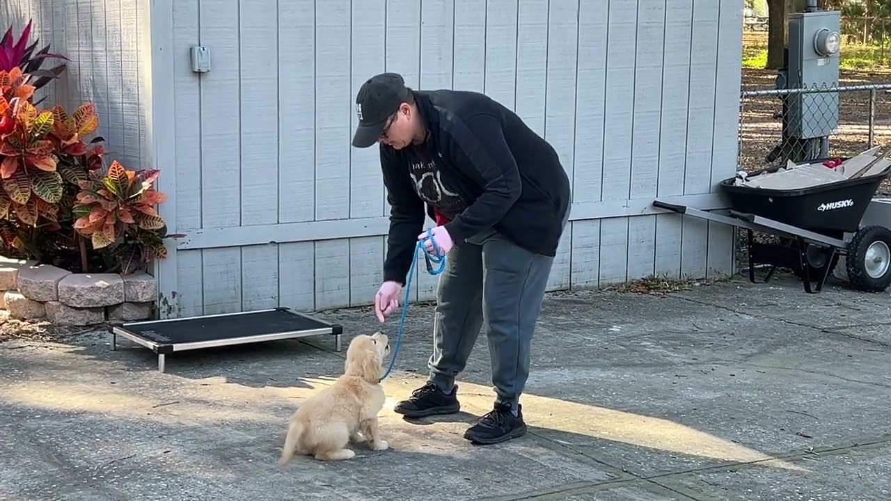 Charlie - Training