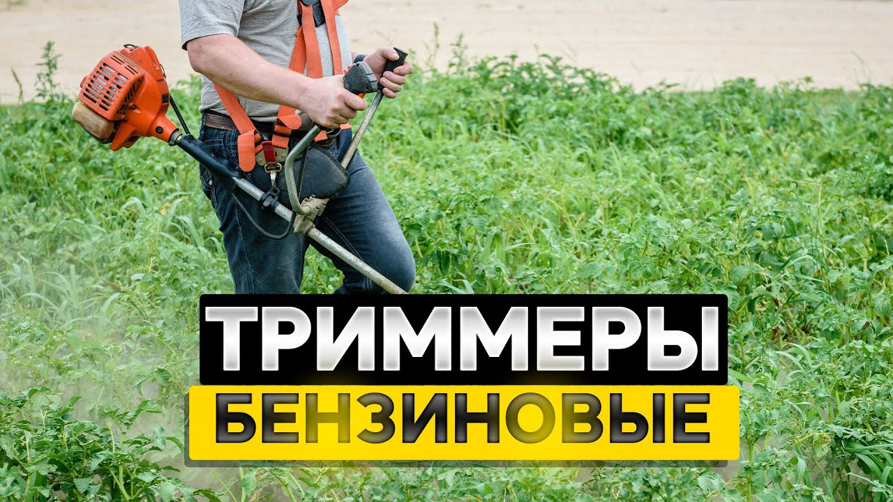 Лучшие бензиновые ТРИММЕРЫ: Топ-5 бензиновых МОТОКОС для травы, сорняков, кустарников. Рейтинг 2025!