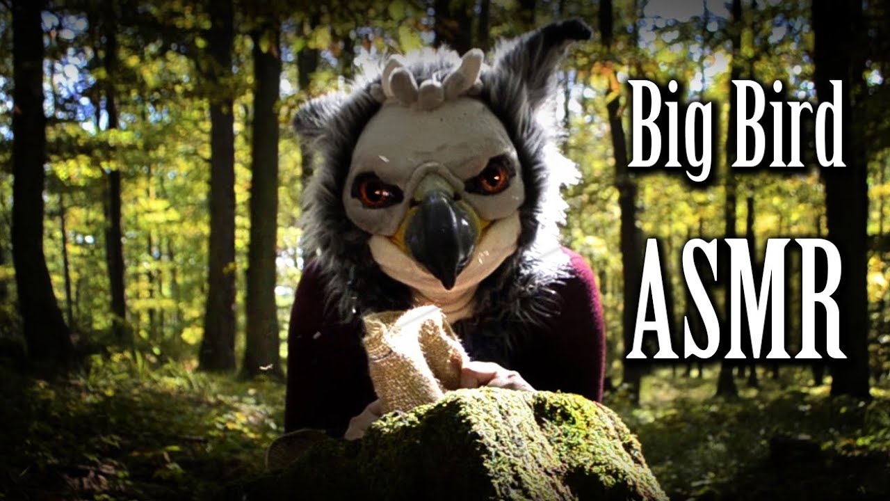 Big Bird ASMR -  Hunting for mushrooms and leaves 🍂🍄🍂