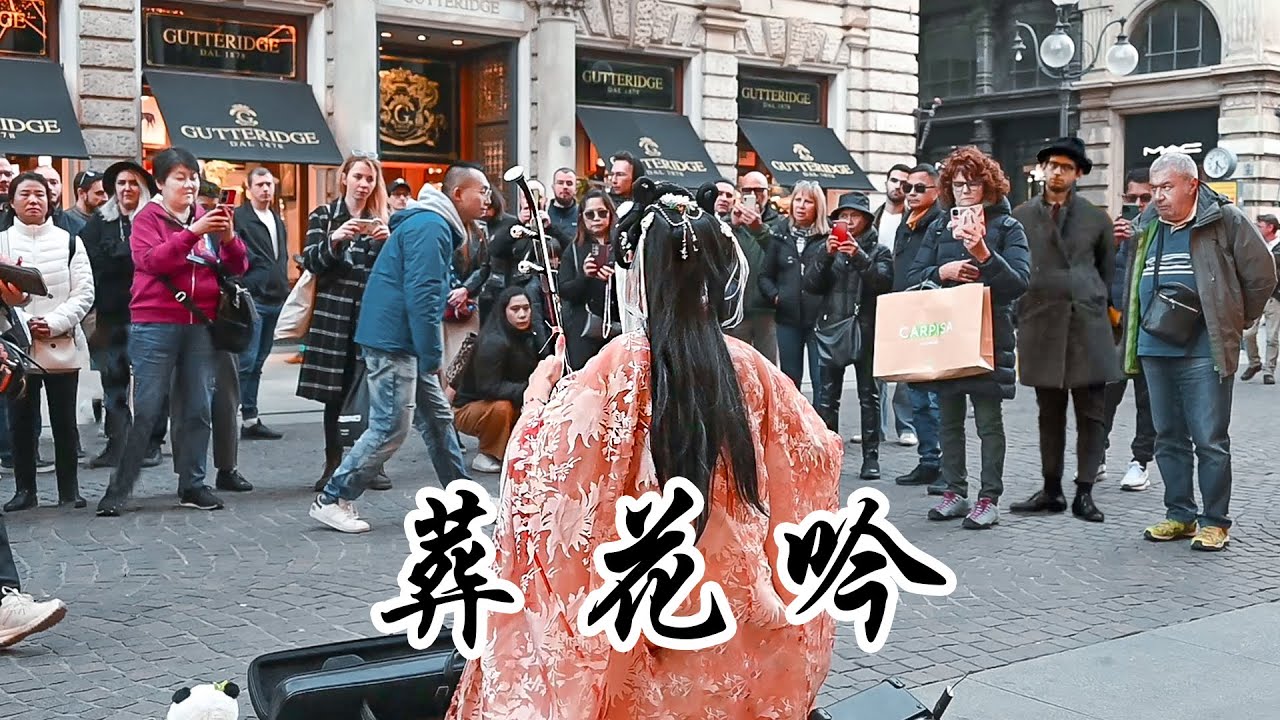 二胡【葬花吟】在意大利遇见林黛玉 When Italy Meets Erhu Playing the Interlude of Dream of Red Mansions （Erhu）
