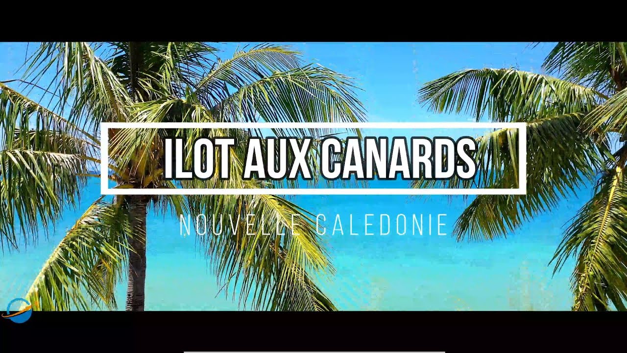 Ilot aux canards à Nouméa en Nouvelle Calédonie