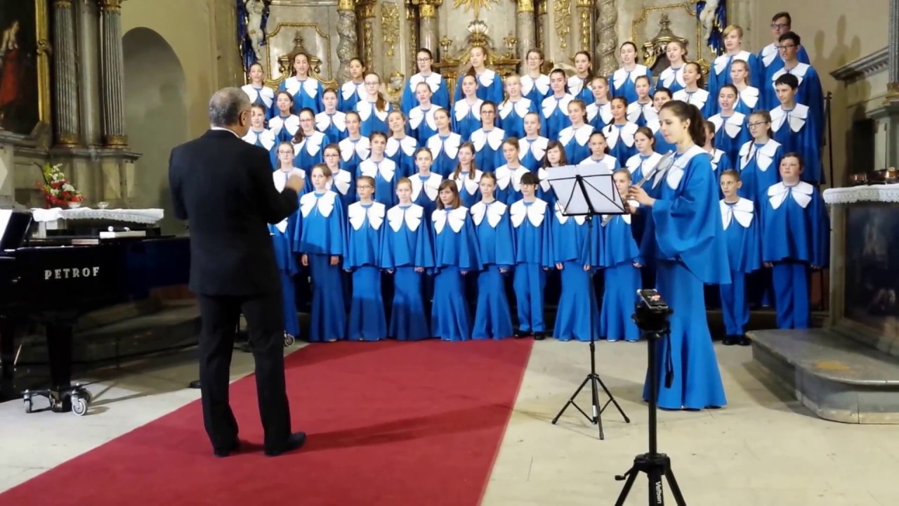 Motýli Šumperk - Přeštický panenky