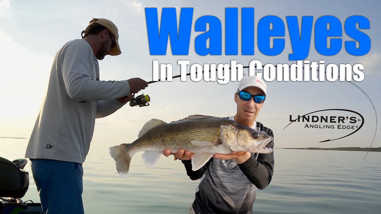 Walleyes In Tough Conditions