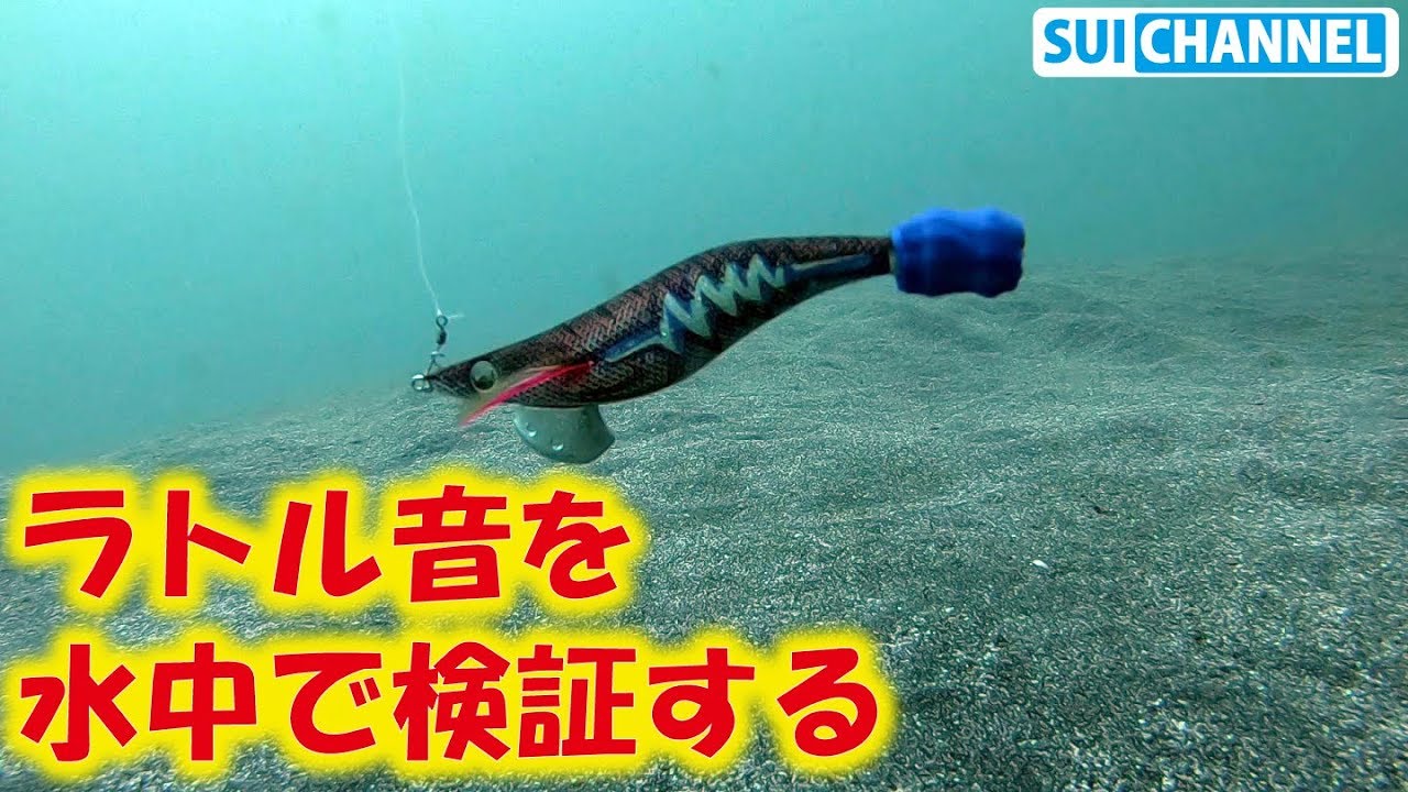 海の生き物は音にどう反応してるのか！？水中エギングでイカが音に反応するかを検証する！（第１弾）【ぱーこ先生と学ぶ相模湾チャンネルとのコラボ動画企画】