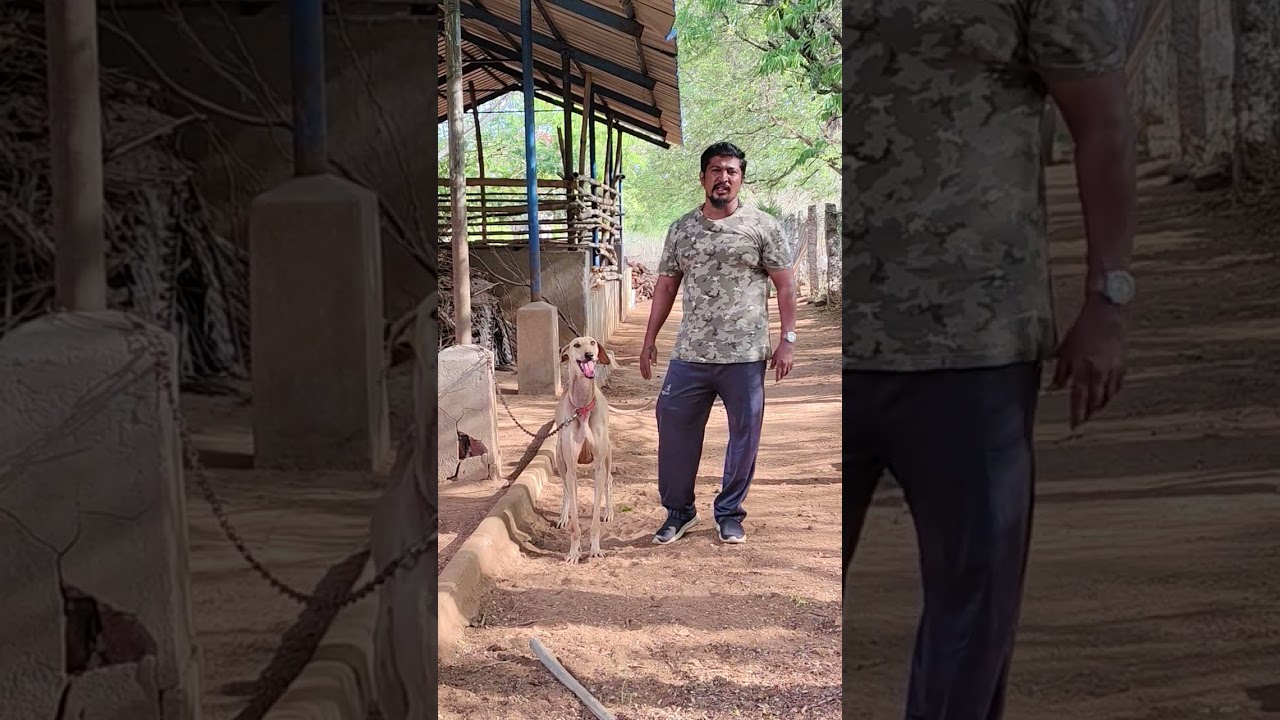 மதுரை கோரிப்பாளையம் டாக்டர் முடக்கத்தான் மணி