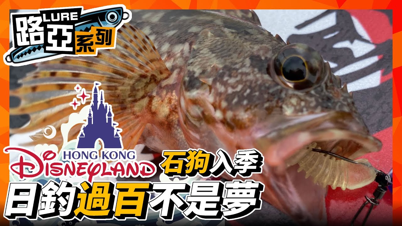 【路亞】迪士尼再戰石狗公 入季大咬過百不是夢 | #香港釣魚
