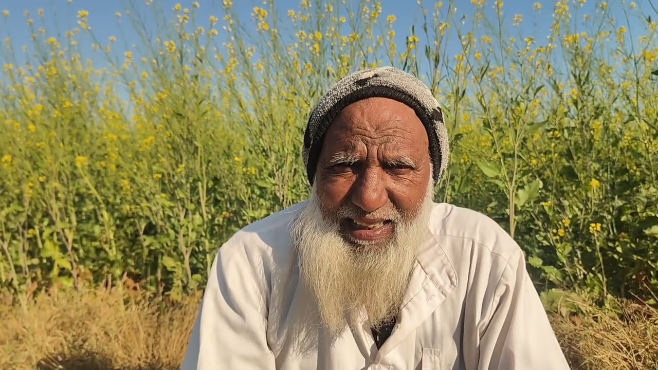 मुर्गा कुत्ता और गादड की पूरी बात देखें इस विडियो मे #murga #kutta #aur #gaadad #ki #mewati #baat