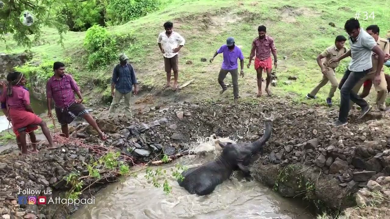 ATTAPPADI || കിണറ്റിൽ വീണ കുട്ടികുറുമ്പനെ രക്ഷപെടുത്താൽ || BABY ELEPHANT RESCUE AT ATTAPPADI