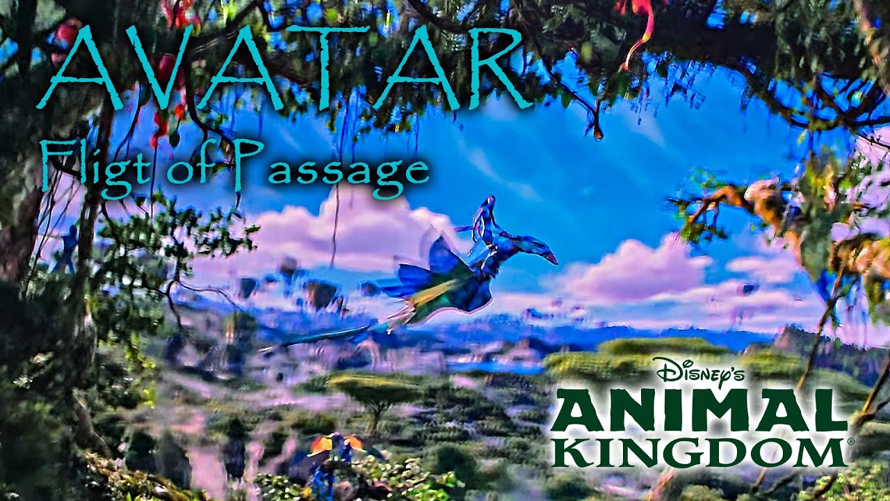 Аватар Полет Прохода На Поездке 4K POV с Очередь Disney's Animal Kingdom 2025 02 26