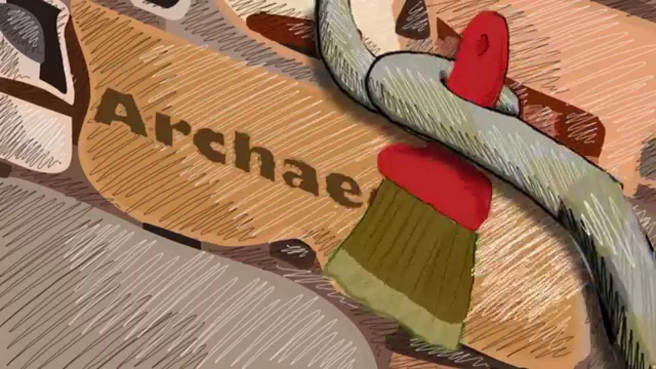 Archaeology - Danny Weinkauf - Songs for Children