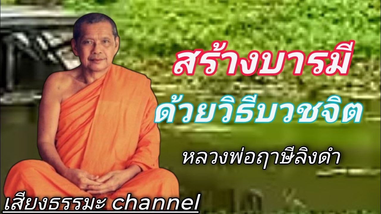 สร้างบารมีด้วยวิธีบวชจิต หลวงพ่อฤาษีลิงดำ วัดท่าซุง #ช่องเสียงธรรมะ
