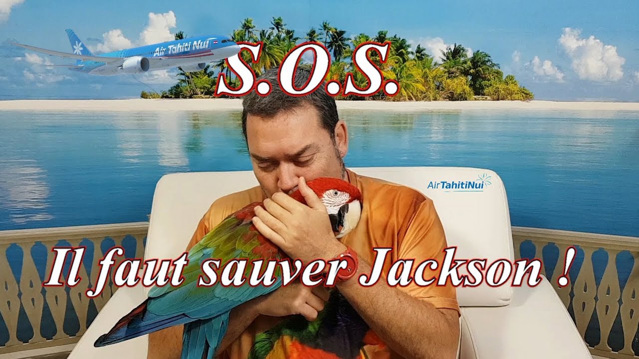 S.O.S. Il faut sauver Jackson mon perroquet
