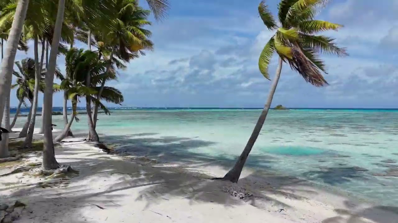 Rangiroa (Rairoa) Juillet 2024